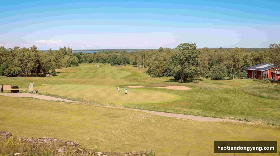 333体育直播热血赛事，一触即发！🔥⚽